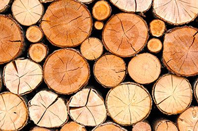 Carports in Lüneburg